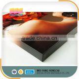 Digital Print Inkjet Artist Canvas Roll For Printing thumbnail-6