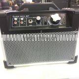 Stage Speaker With Disco Light With Portable Handle Multi-Color Wireless Built-in Battery Active Trolley Speaker thumbnail-2