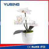 Professional Under Vase Lights Beautiful Vase Lighting