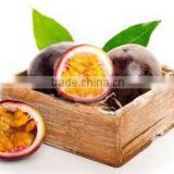 Vietnam Amazing Passion Fruits Fesh/Frozen- High quality