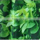 19cm PVC Tarpaulin / PVC Fence Strip /PVC Screen Strip Garden Protection thumbnail-6