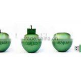 2GB Soft PVC Fruit Apple Shaped Usb Flash Drive Gift 100% Real Capacity Usb Flash Disk Memory USB 2.0 With Key Chain