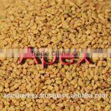Fenugreek Seeds/ Trigonella Foenum / Methi