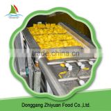 Frozen Yellow Sliced Peaches thumbnail-6