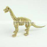 Factory Direct Sale Realistic Dinosaur Skeleton Toy thumbnail-2