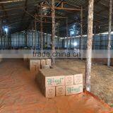 Cleaning Product thumbnail-1