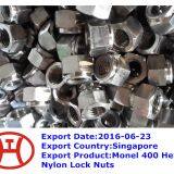 Monel 400 Hex Nylon Lock Nuts thumbnail-1