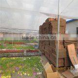 Plastic Greenhouse for Vegetable/Flower Raising thumbnail-2