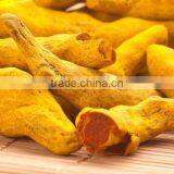 Turmeric Fingers