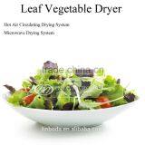 Leafy Vegetables Dryer thumbnail-1