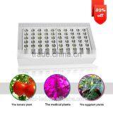 Low Price Aaa Quality High Power Seeds Vegetables From Shenzhen Factory thumbnail-1