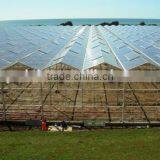 PC Sheet Vegetable Greenhouse Sale thumbnail-1