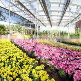Glass Greenhouse-1 thumbnail-5