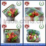 Customized Plastic Stand up Pouch Slider Zip Lock Fruit Packaging Bag thumbnail-4