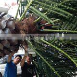High Quality Artificial Date Palm Tree Fake Coconut Palm thumbnail-2