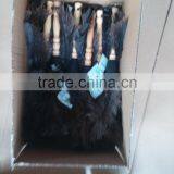 Short Wood Handle Natural OSTRICH Feather DUSTER thumbnail-6