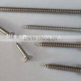 Countersunk Head Nickel Plating Self Tapping Screw in Guangzhou thumbnail-2