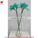 Cheap Wholesale Large Amaryllis for Halloween Arrangement thumbnail-1