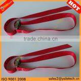 TUV/GS Approved 25mm Logistic Cam Buckle Strap/cam Buckle Tie Down Straps