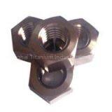 Titanium Hex Nuts