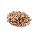 Chinese Cranberry Beans thumbnail-3