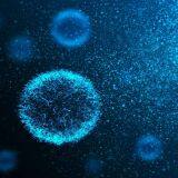 Adenovirus Production Service