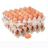2020 hot sale Fully Automatic egg tray processing machine/egg carton making machine /chicken egg chicken egg box making