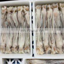 Good Quality BQF Frozen Squid Tentacle for Export thumbnail-3