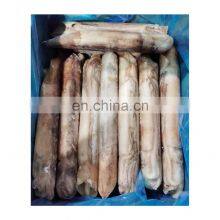 Feature IQF Todarodes Squid Whole Squid Good Price