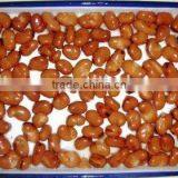 Competitive Price Canned Broad Beans thumbnail-1