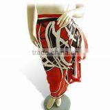 100% Cotton Pareo thumbnail-1