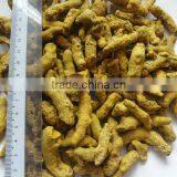 TURMERIC FINGER POLISHED thumbnail-1
