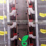 H Type 6 Tiers 360 Birds Laying Cages for Quail thumbnail-2