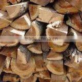 White Birch Logs, Baltic Birch Logs, Latvia Birch Logs for Sale thumbnail-4