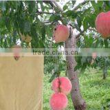 Peach Kraft Paper Bag thumbnail-1