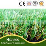 10mm Easy Install Well Used Sorghum Sudan Grass Seeds