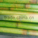 Decorative Bamboo Pole thumbnail-2