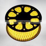 5M Roll Waterproof IP65 24v Led Strip thumbnail-1