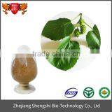 ISO GMP Factory 100% Pure Natural Mulberry Leaf Extract thumbnail-2