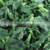 IQF Frozen Spinach Leaf BQF With High Quality thumbnail-2