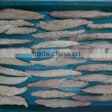 2016 High Quality and Cheapest Bonito Loin