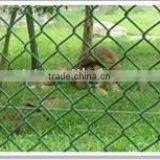 Chain Link Wire Mesh/Mesh Fece