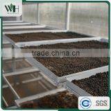Vietnam Giant Spicy Raw Black Pepper 500gl thumbnail-6