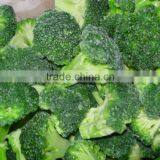 FROZEN BROCCOLI- FROZEN CAULIFLOWER- BEST PRICE- HIGH QUALITY