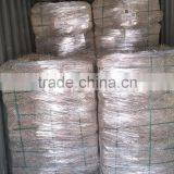 Rhode Grass Hay thumbnail-4