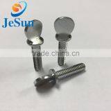 Customized Special Head Screw,machine Screw thumbnail-4
