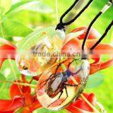 Lively Real Insect Resin-Hotsale thumbnail-1