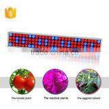 E27 Spot Led Grow Light,greenhouse Grow thumbnail-1