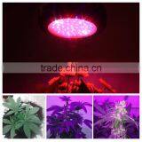 Global Greenhouse Lighting Led 45x3 Watt for Indoor Use Home Grower thumbnail-3