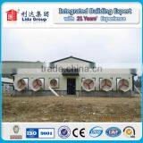 Prefabricated Commercial Chicken House for Hen House for 1000 Chicken thumbnail-3